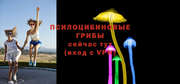 гидра Белокуриха