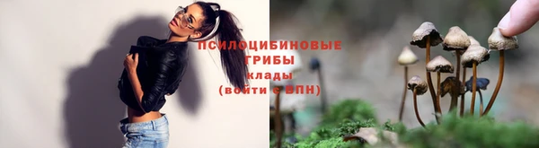 каннабис Баксан