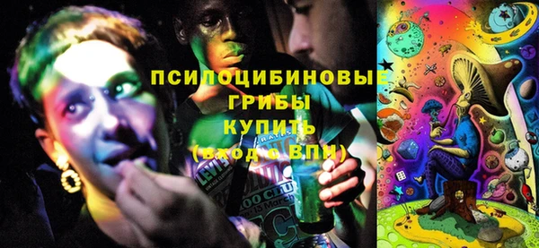 молекула духа Белоозёрский