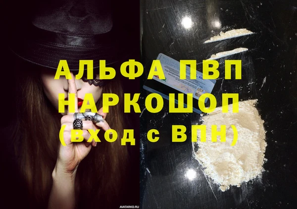молекула духа Белоозёрский