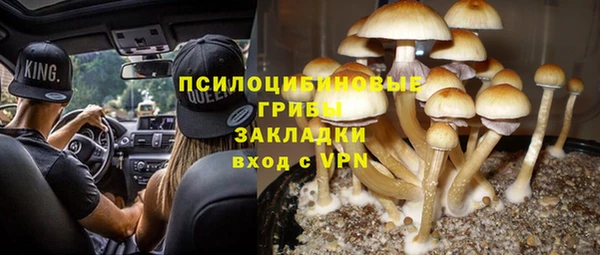 прущие крисы Балабаново
