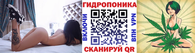 Каннабис тримм  Купить закладки  Первомайск 